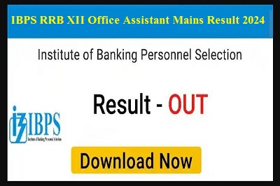 IBPS RRB XII Office Assistant Mains Result 2024