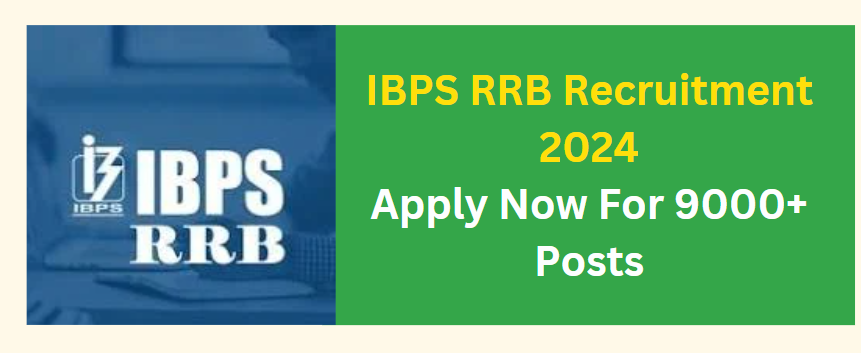 IBPS RRB Recruitment 2024 Apply Now For 9000+ Posts